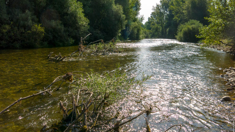 TwT Tevere 13 Giugno 201 5,  per IOPESCOPOSITIVO.it BARRA 18