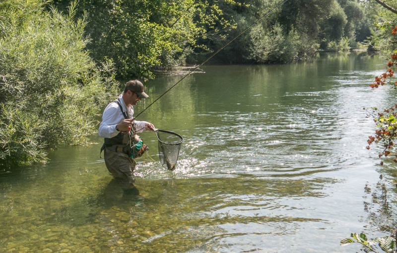 TwT Tevere 13 Giugno 2015,  per IOPESCOPOSITIVO.it Simone Pezzi