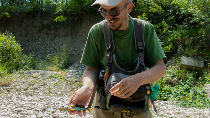 TwT Tevere 13 Giugno 2015,  per IOPESCOPOSITIVO.it Mirko Balboni