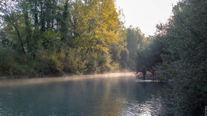 TWT per Momenti di pesca - per iopescopositivo.it