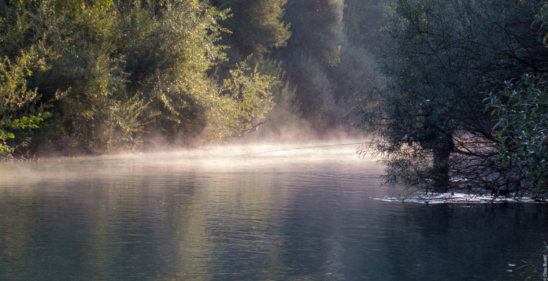 TWT per Momenti di pesca - per iopescopositivo.it