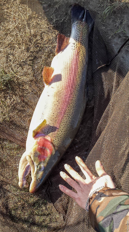 Laghi di Bubano 12-15 - Simone Pezzi