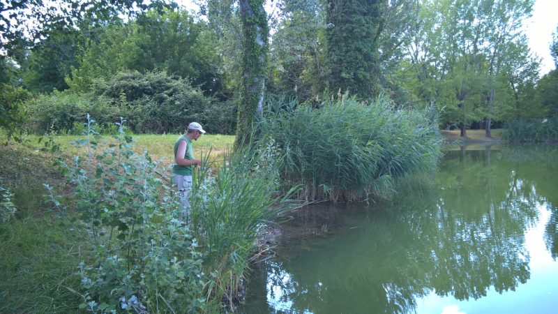 Concentrato in pesca