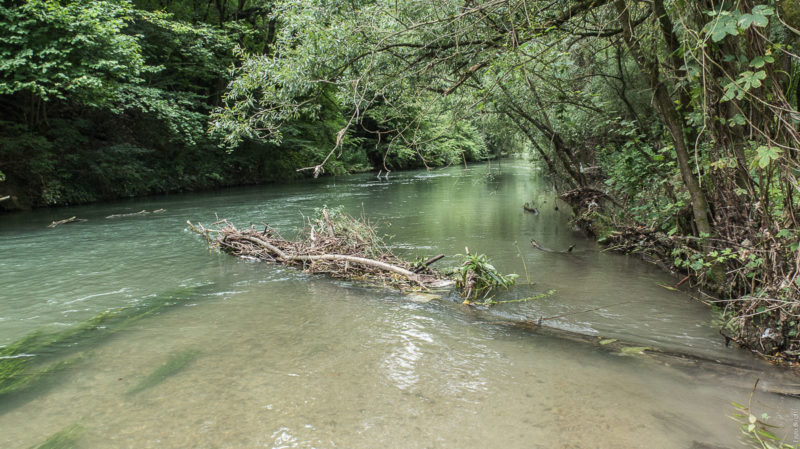 Fiume Noce a Cressino
