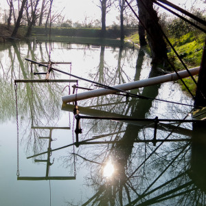 Baia di Pinocchio - Dozza Imoles - per IoPescoPositivo