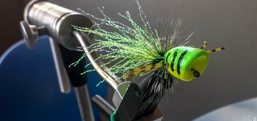 Popper by Simone Pezzi - per iopescopositivo.it