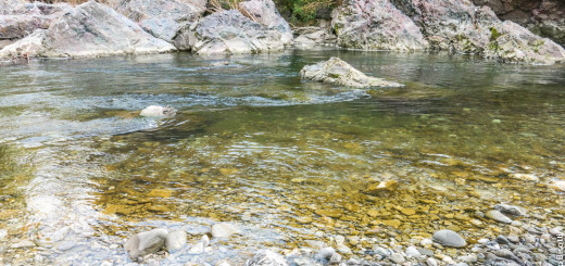 Vergato NK, per iopescopositivo.it