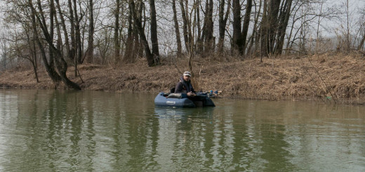 1 - SAPABA Magilla Bass Marzo 2015