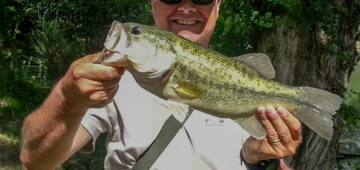 Bass di Enzo Bisotti, per IOPESCOPOSITIVO.it