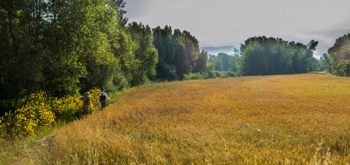 Rive della TWT a Barra 18, per iopescopositivo.it