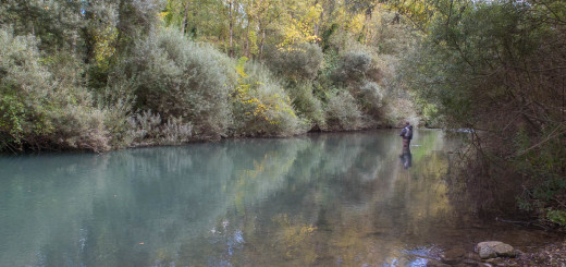 Simone Pezzi, in Momenti di pesca - per iopescopositivo.it