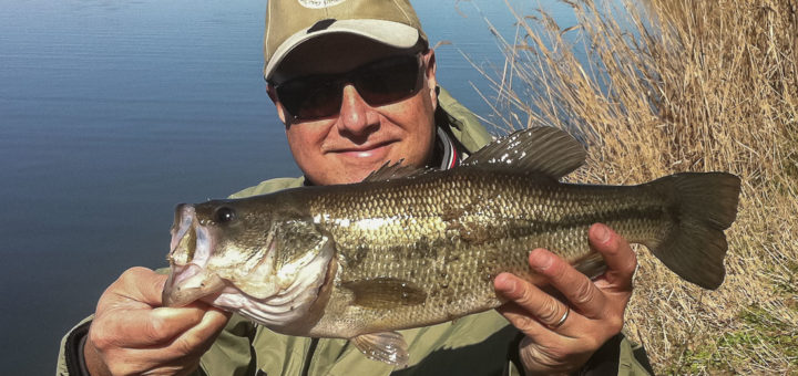 Primo Bass di Enzo Bisotti del 2017. Per IoPescoPositivo.it