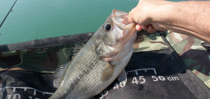 Lago VIVINATURA Enzo Bisotti