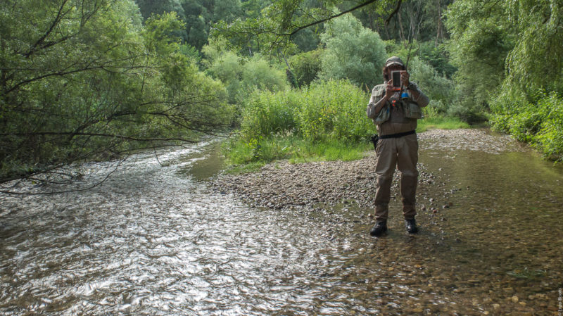 Biforcazione dello Sporeggio